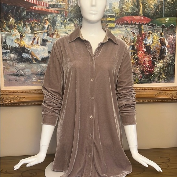 VELOUR BUTTON DOWN TUNIC - Picture 1 of 6